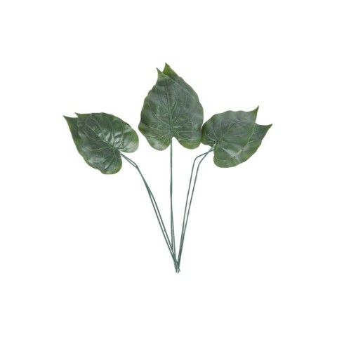 SET 6 FOGLIE ALOCASIA 3ASS